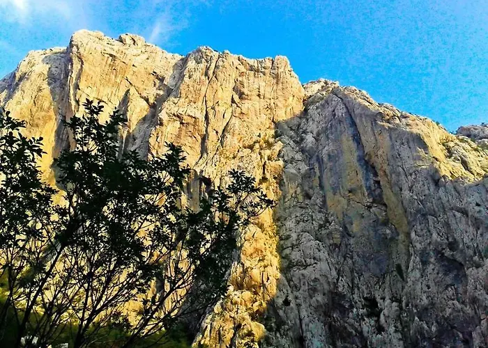 - Paklenica Riviera 6878 Seline